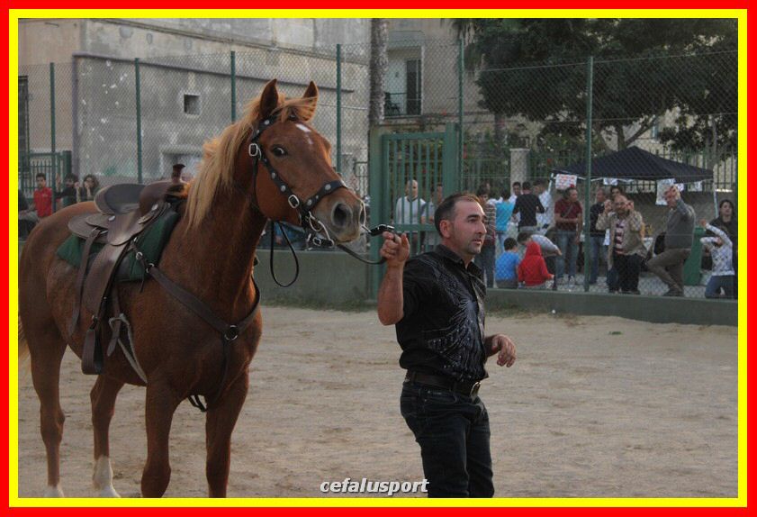 161106 equestre 071_tn.jpg